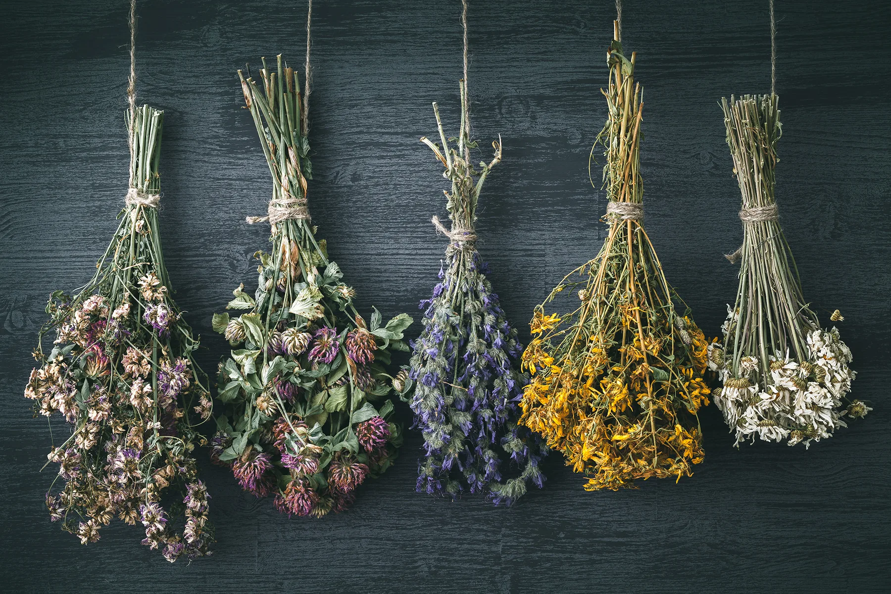 Bundles of traditional herbs and flowers