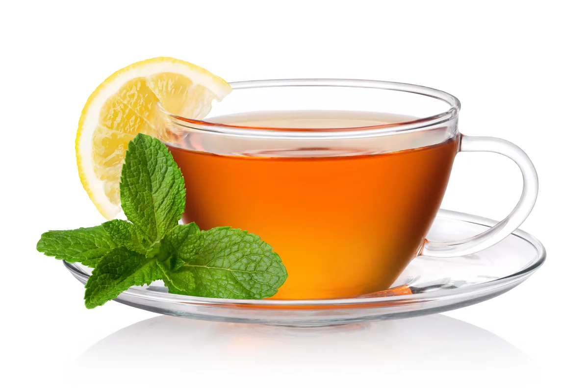Fresh herbal tea with lemon and mint
